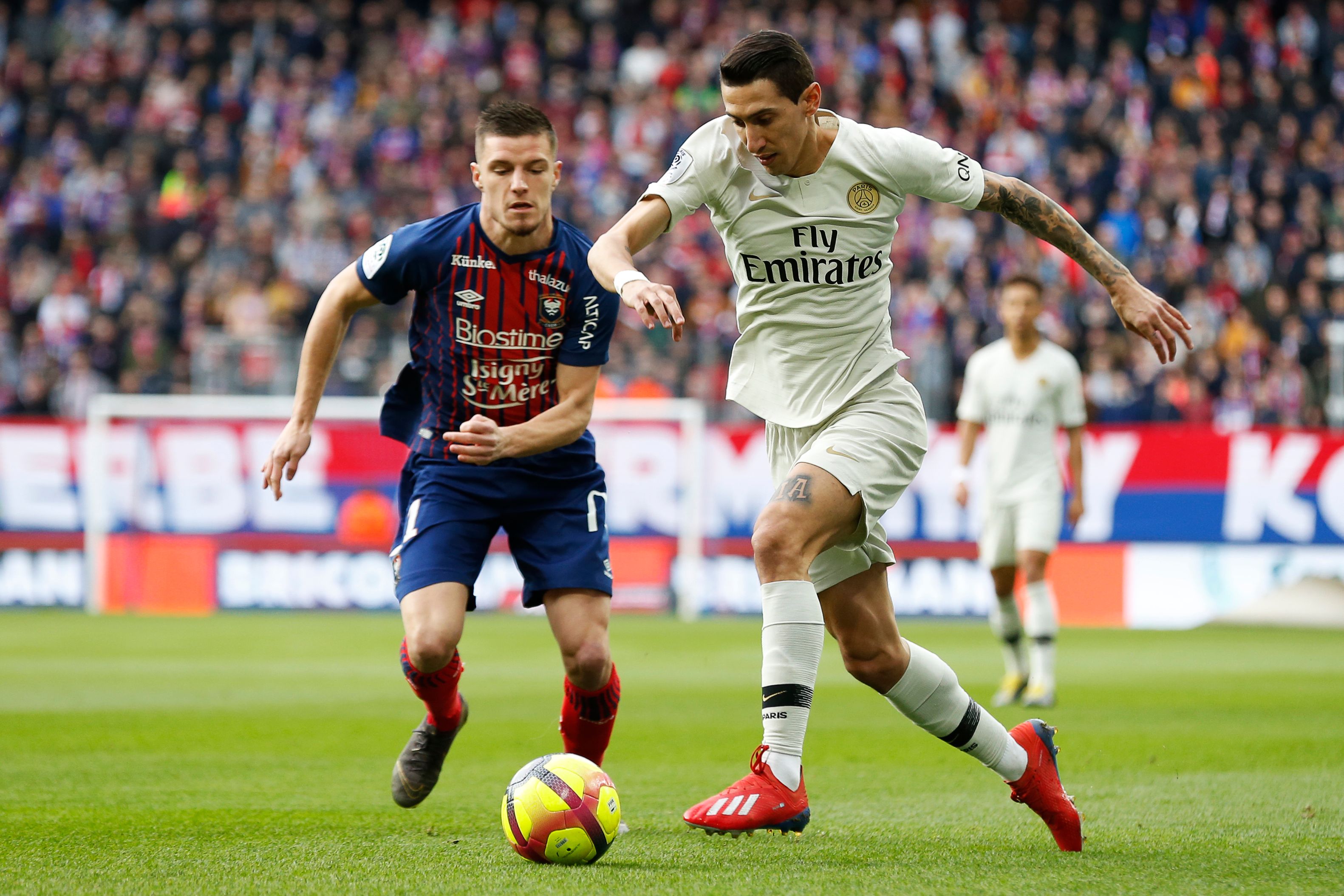 正因如此 正因如此